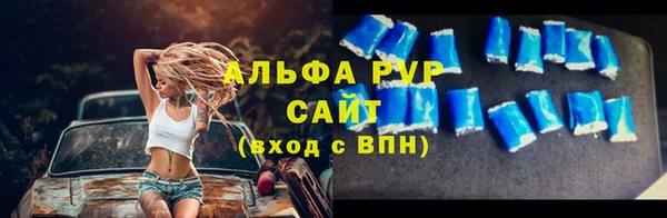 мет Алексин