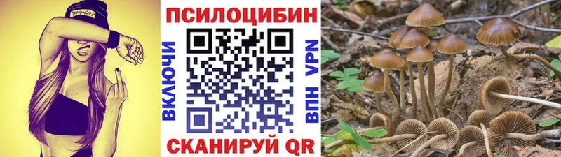 Галлюциногенные грибы прущие грибы  Спасск 